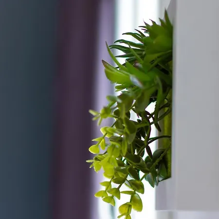 La Cle Clim, Balcon, Proche Gare Et Port *